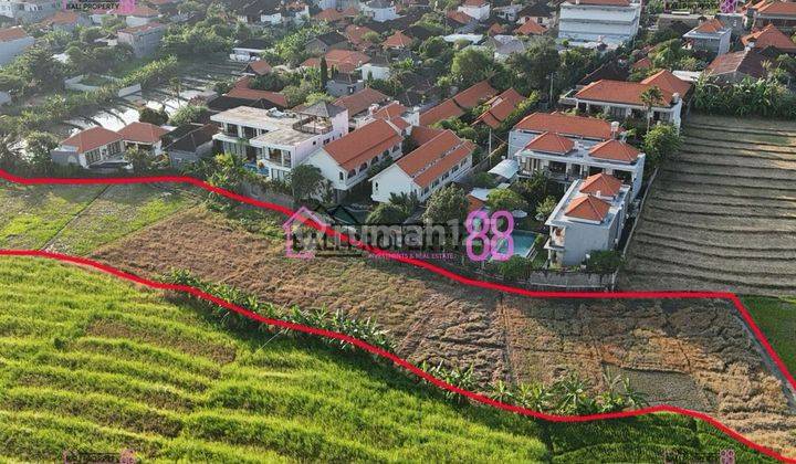 Disewakan Tanah 6325 m2 di Batu Bolong Canggu – View Sawah, Lingkungan Villa Eksklusif! 2