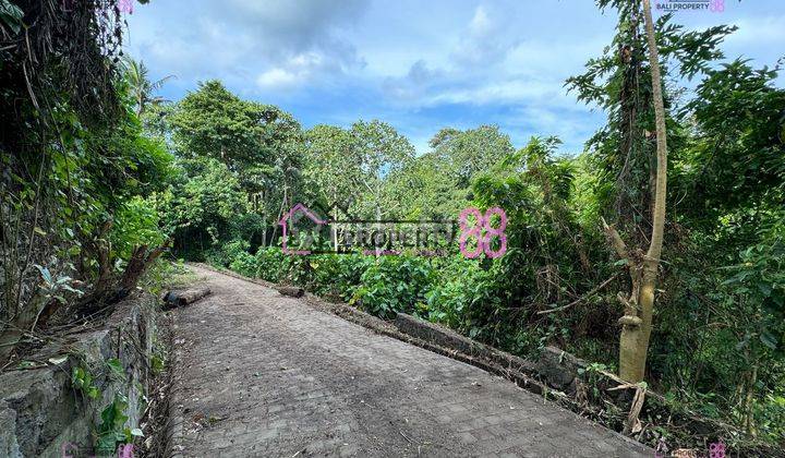 Dijual Tanah Strategis untuk Pembangunan Villa di Jalan Pantai Nyanyi, Tabanan LT 3400 m2 1