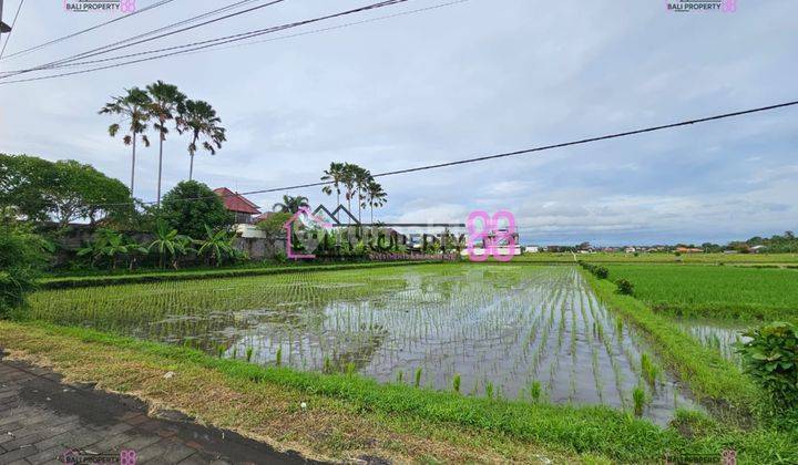 Dijual Tanah di Jalan Pantai Kedungu, Tabanan Bali 1