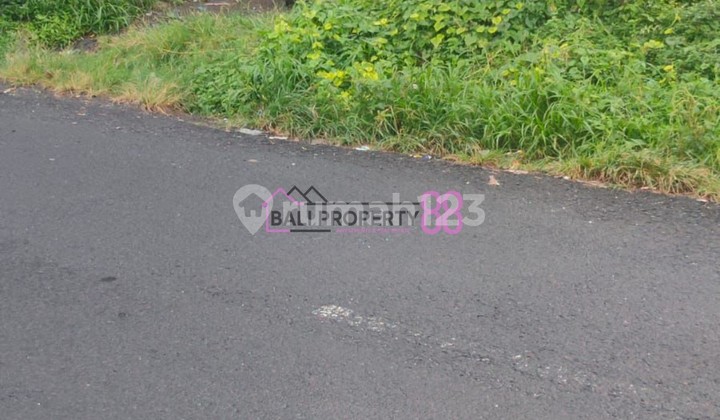 Premium Land for Sale in an Elite Neighborhood with 8-Meter Hotmix Road Access | in Buluh Indah, West Denpasar Premium Land for Sale in an Elite Neighborhood with 8-Meter Hotmix Road Access | in Buluh Indah, West Denpasar