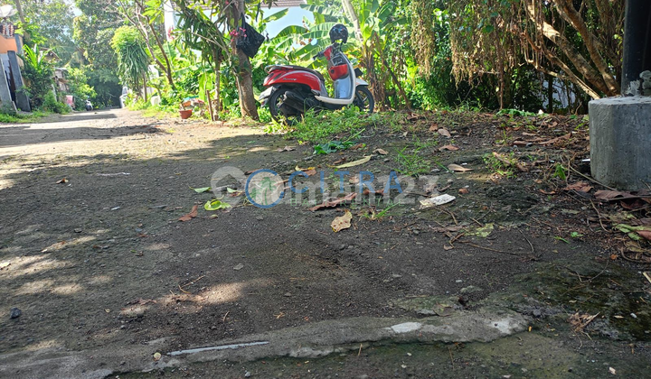 For Sale Exclusive Los Sungai Land with Yellow ITR | in Cepaka Munggu, Badung For Sale Exclusive Los Sungai Land with Yellow ITR | in Cepaka Munggu, Badung