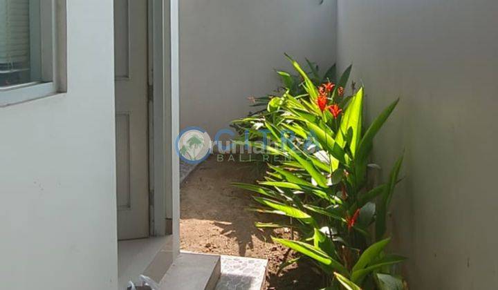 Sewa Rumah Sanur Denpasar Bali Lt 150 M2 2