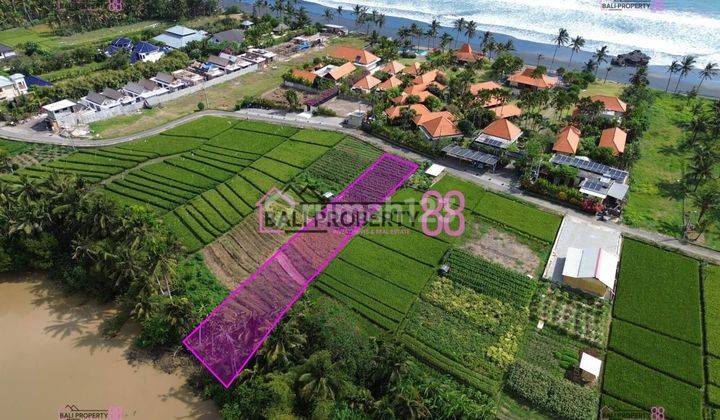 Land for Sale in Pasut Beach, Tabanan, Floor 1200 M2 1