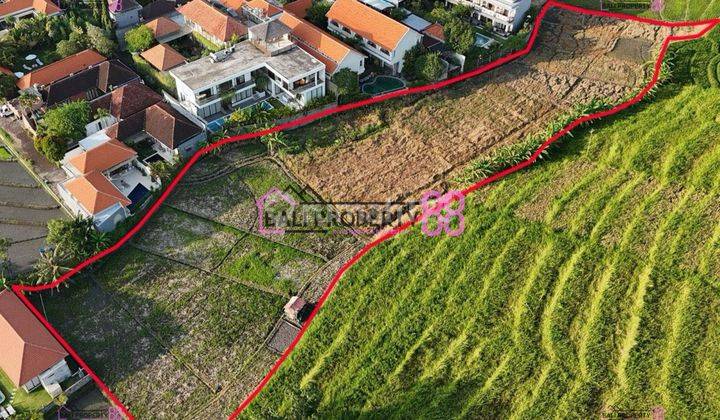 Disewakan Tanah 6325 m2 di Batu Bolong Canggu – View Sawah, Lingkungan Villa Eksklusif! 1