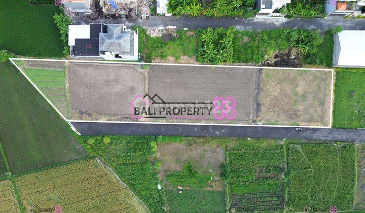 Dikontrakkan Tanah 2180 m² View Sawah – Jalan Sedap Malam, Dekat Sanur 2