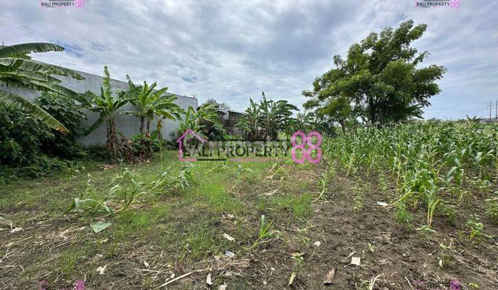 Dikontrakkan Tanah Strategis di Jalan Utama Sedap Malam, Denpasar LT 2000 m2 1