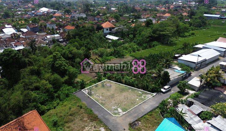 Denpasar Cultivation Land for sale Lt 400 M2 1