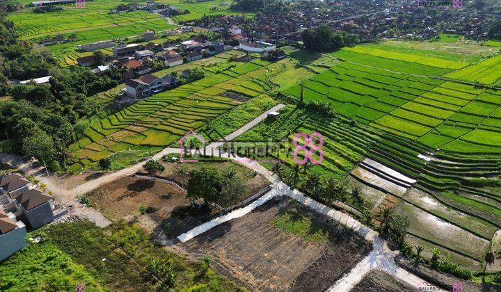 Kedungu Plot of Land for sale Tabanan 1