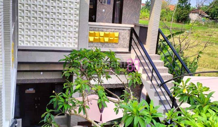 Kost Baru Elite 9 Kamar View Sawah Dekat Padonan Canggu 1