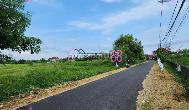 Jual Tanah Jalan Utama Pantai Kelating Lt 3550 M2 1