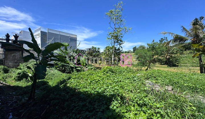 Rare Land for Sale Buduk Tumbak Bayuh, Land Area 215 m2