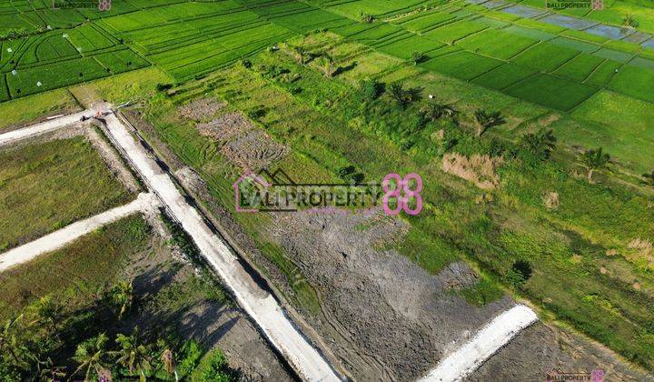 Land Plot Kedungu Tabanan for sale 1