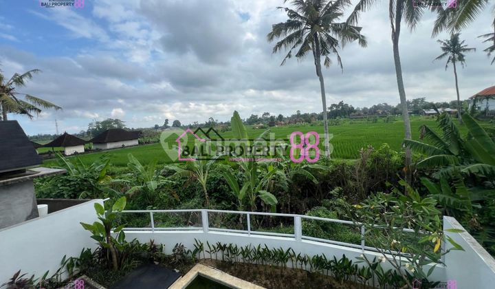 Villa Mewah Modern dengan Pemandangan Sawah di Tengah Ubud 1