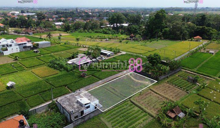 Jual Tanah Penatih Denpasar Lt 600 M2 1