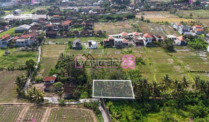 Land for Sale Ubud Singakerta Bali Floor 500 M2 1