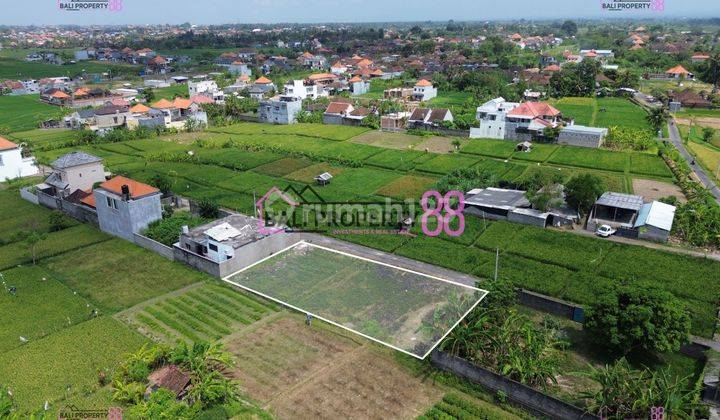 Jual Tanah Penatih Denpasar Lt 600 M2 2