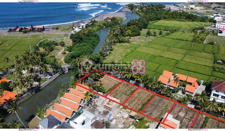 Jual Tanah Pantai Purnama Gianyar Lt 500 M2 1