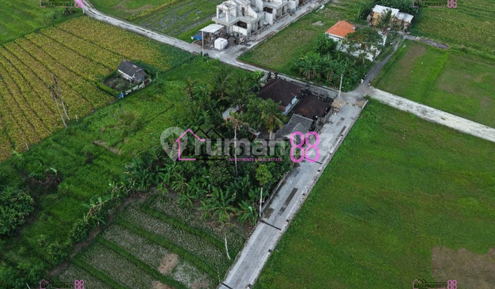 Land for Sale, 3 Ares in Nyanyi, Only 8 Minutes to Nyanyi Beach.