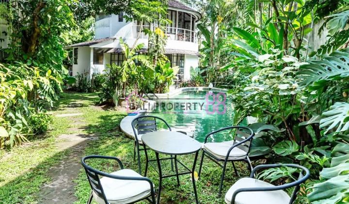Dijual Villa Cantik & Luas dengan Taman dan Kolam Renang | 6 KT di Kerobokan, Dekat Seminyak LT 690 m2 Dijual Villa Cantik & Luas dengan Taman dan Kolam Renang | 6 KT di Kerobokan, Dekat Seminyak LT 690 m2