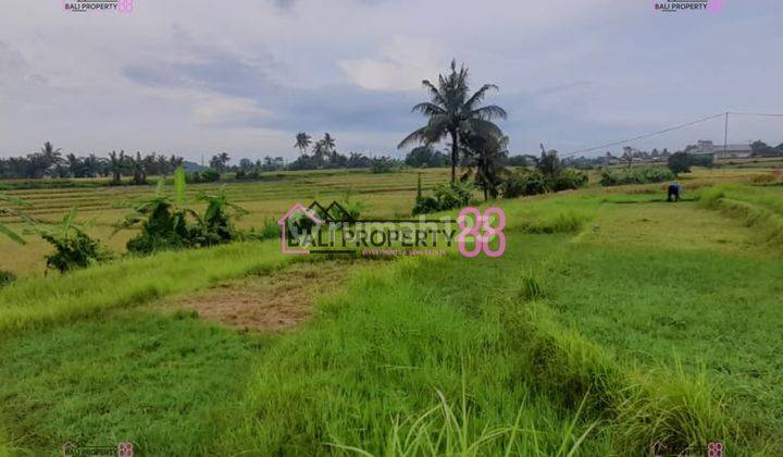 Land for Sale in Nyanyi Beach, Tabanan 1