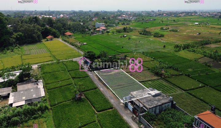 Jual Tanah Penatih Denpasar Lt 600 M2 2