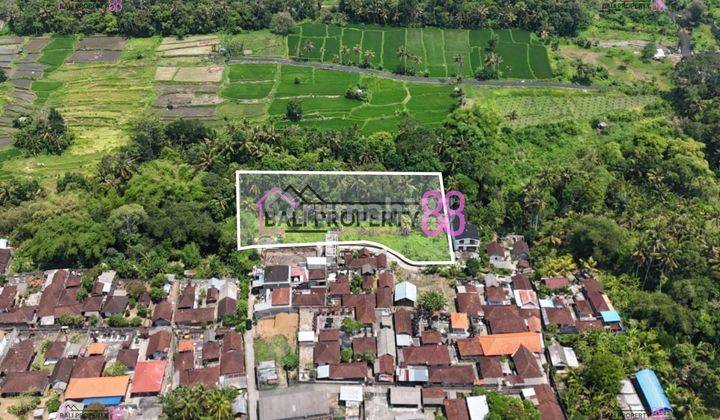 Jual Tanah Bitera Gianyar Lt 2580 M2 2