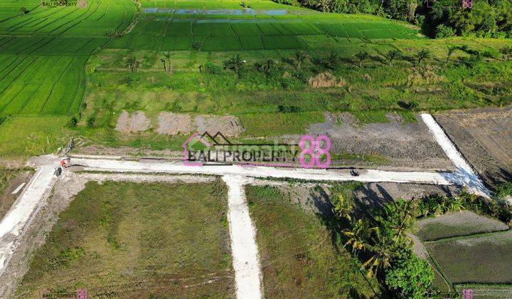 Land Plot Kedungu Tabanan for sale 2