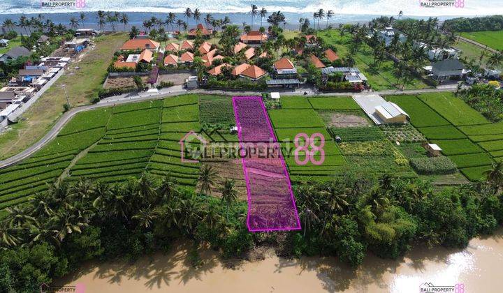 Land for Sale in Pasut Beach, Tabanan, Floor 1200 M2 2