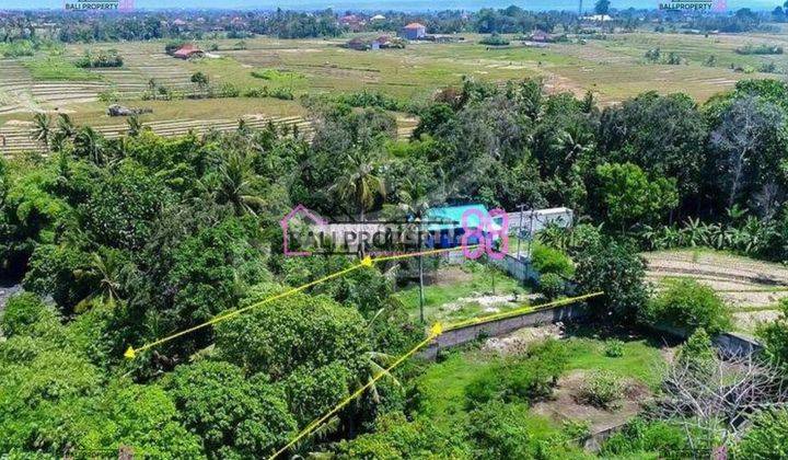 Land for sale in Tabanan, Nyanyi, Floor 1750 m2 1