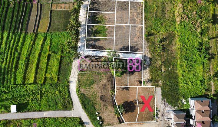 Kedungu Plot of Land for sale Tabanan 2