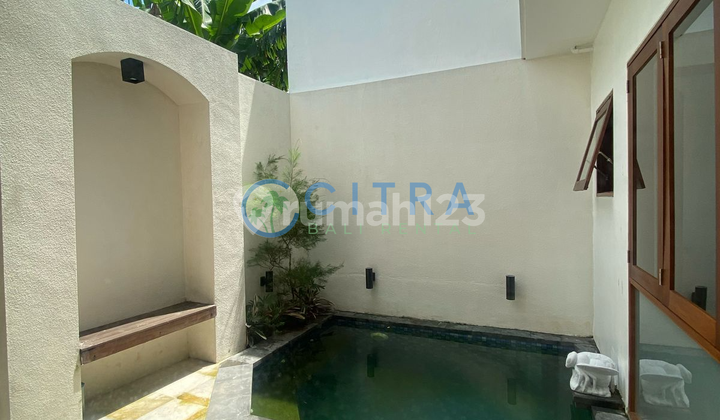 For Rent New Modern Fully Furnished House with Private Plunge Pool | 2 BR in Tukad Pancoran, Denpasar