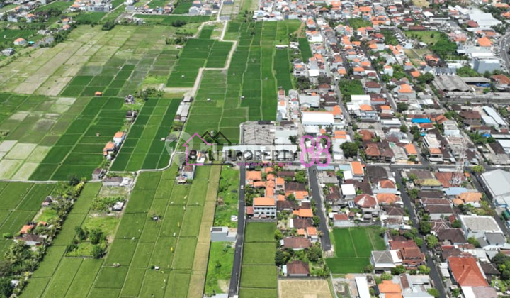 Dijual Tanah Kavling Siap Bangun dengan View Sawah | One Gate System di Sekar Jepun Gatsu Timur, Denpasar LT 100 m2