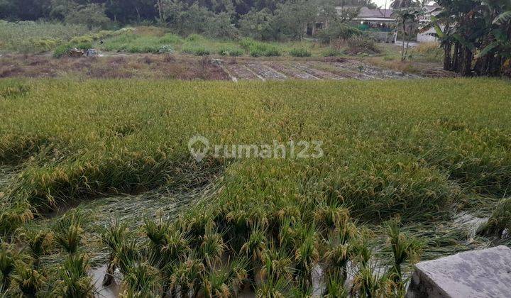 Tanah Kosong Pinggir Jalan Batang Kuis Lubuk Pakam. Desa Tumpatan Nibung, Deli Serdang 2