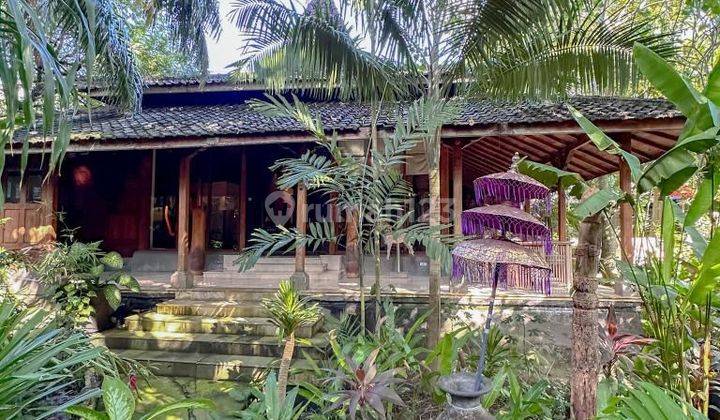 A Free Hold Tropical Balinese Villa In Legian 2