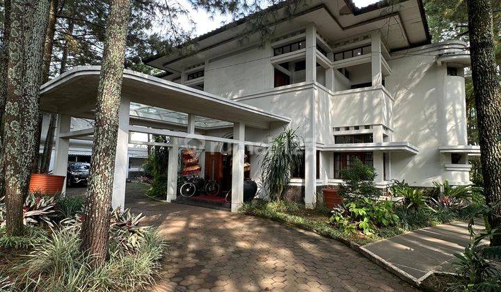 HIDDEN GEM Satu -Satunya HOTEL ditengah hutan pinus di Jantung Kota Bandung HIDDEN GEM Satu -Satunya HOTEL ditengah hutan pinus di Jantung Kota Bandung