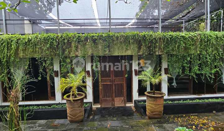 Dijual Murah Dibawah NJOP 2026 Rumah Tua Hitung Tanah di Kemang