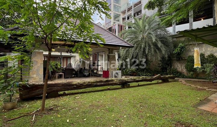 Rumah Konsep Tropical Modern  Halaman Sangat Luas dan Asri