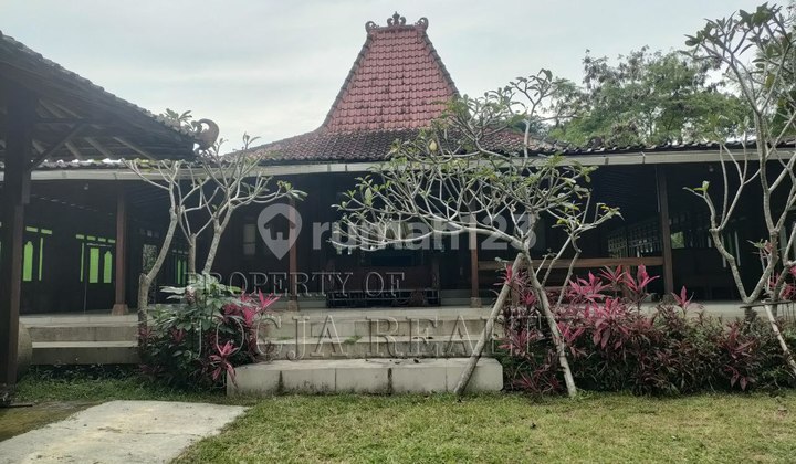 Javanese-Style Villa Open Wide Area Cangkringan Sleman Yogyakarta