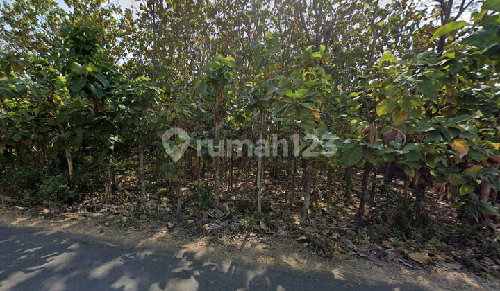 DIJUAL CEPAT MURAH TANAH STRATEGIS KLATEN DEKAT EXIT TOL JATINOM 2