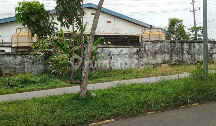 Quick Sale, Flood-Free Ready-to-Occupy Factory in Bengkulu, Sumatra.