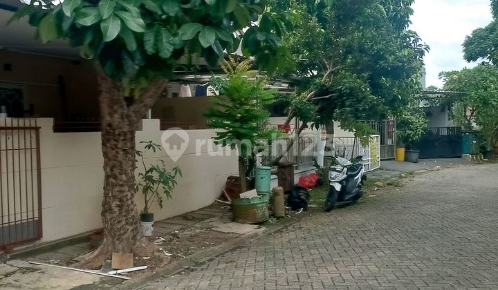 Ready-to-Occupy, Strategic, Scenic House Near Public Facilities in BSD 2