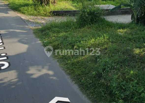 Quick Sale Land Ready to Build Suitable for Housing, Agro-Tourism, and Others. Quick Sale Land Ready to Build Suitable for Housing, Agro-Tourism, and Others.