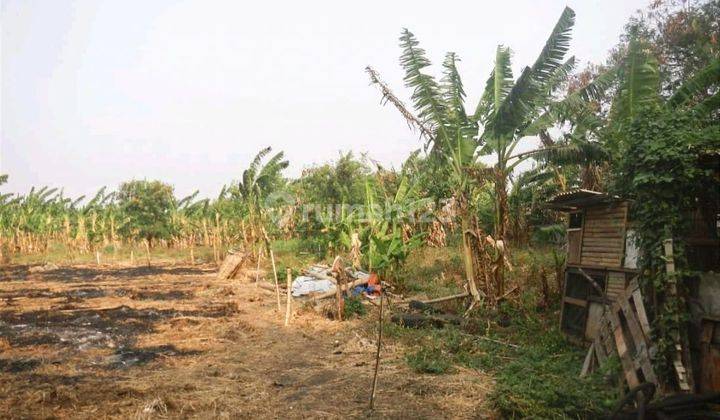 Tanah Luas 16.600 M2 Dekat Jalan Raya Di Cengkareng, Jakbar 2