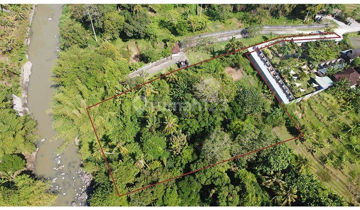 Riverside Land Good For Complex Villa 1