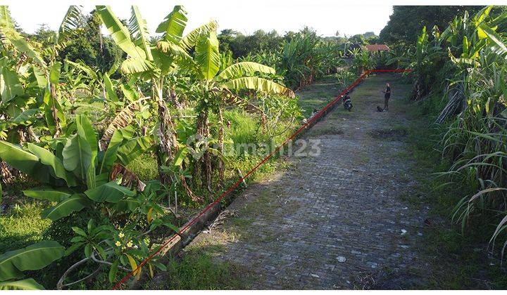 Small Lot Lands For Villas With Ricefield View And Near The Beach 2