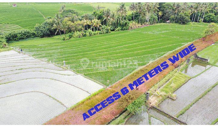 Land Near Beach And Ricefield View 2