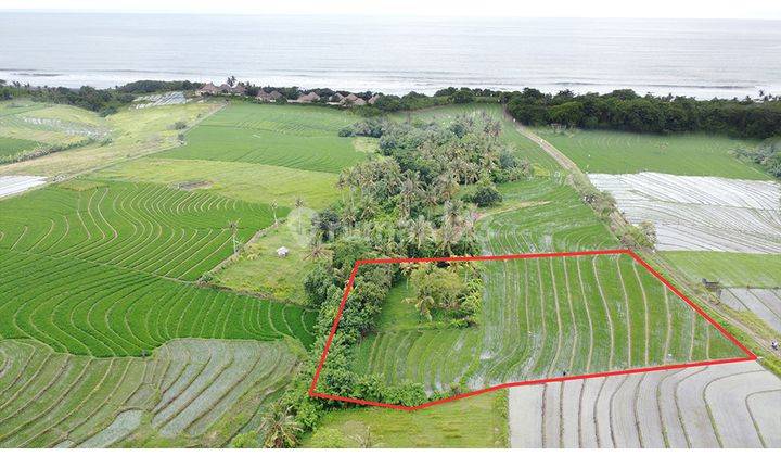 Land Near Beach And Ricefield View 1