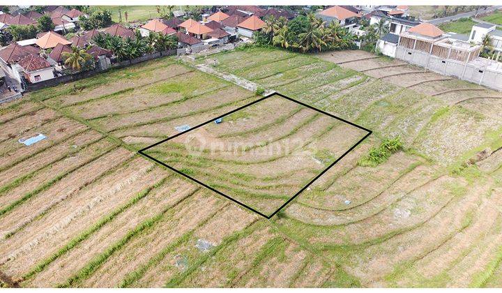 Land With Rice Field View In Nyanyi Beach 2