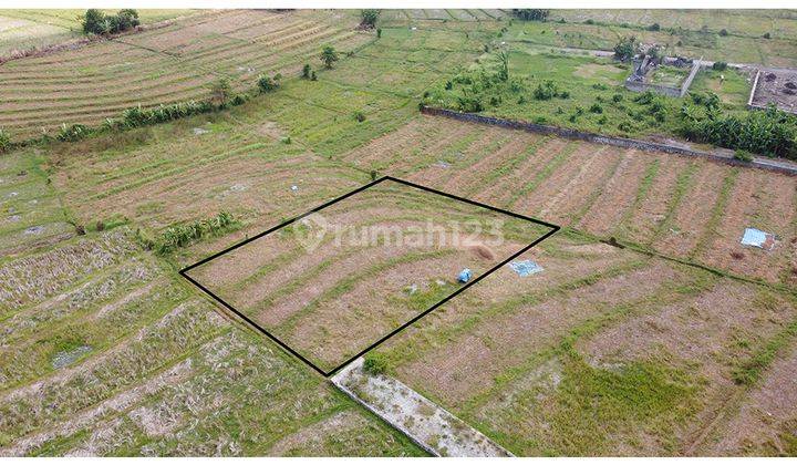 Land With Rice Field View In Nyanyi Beach 1