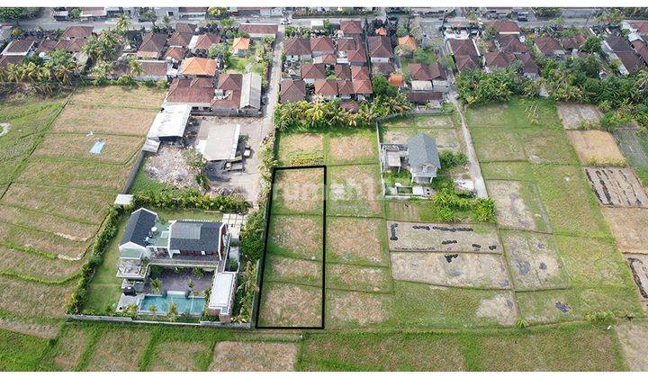 Medium Land Nyanyi Good For Villa With Rice Field View 2